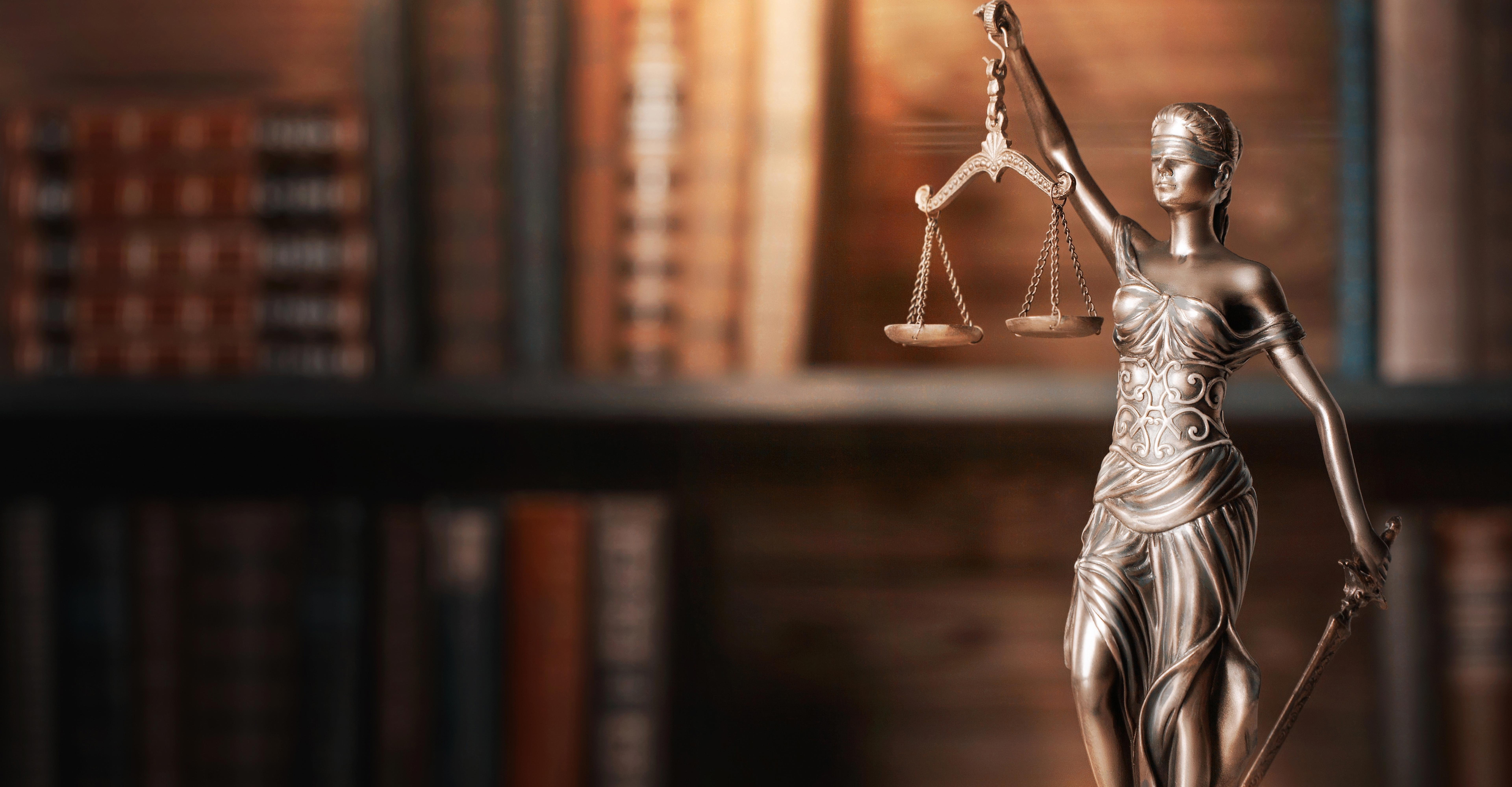 Professional legal support